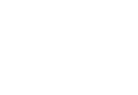 TA SYSTEM
